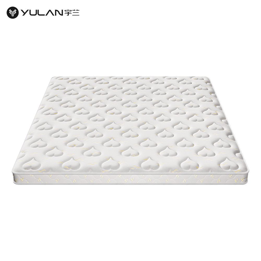 Y89-matttress-0 Y89 Coir Thin Mattress