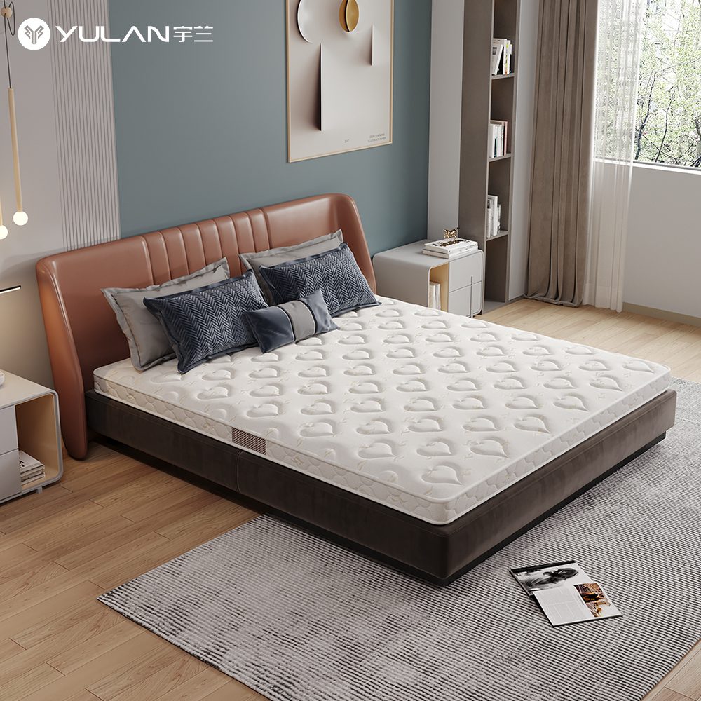 Y89-matttress-5 Y89 Coir Thin Mattress