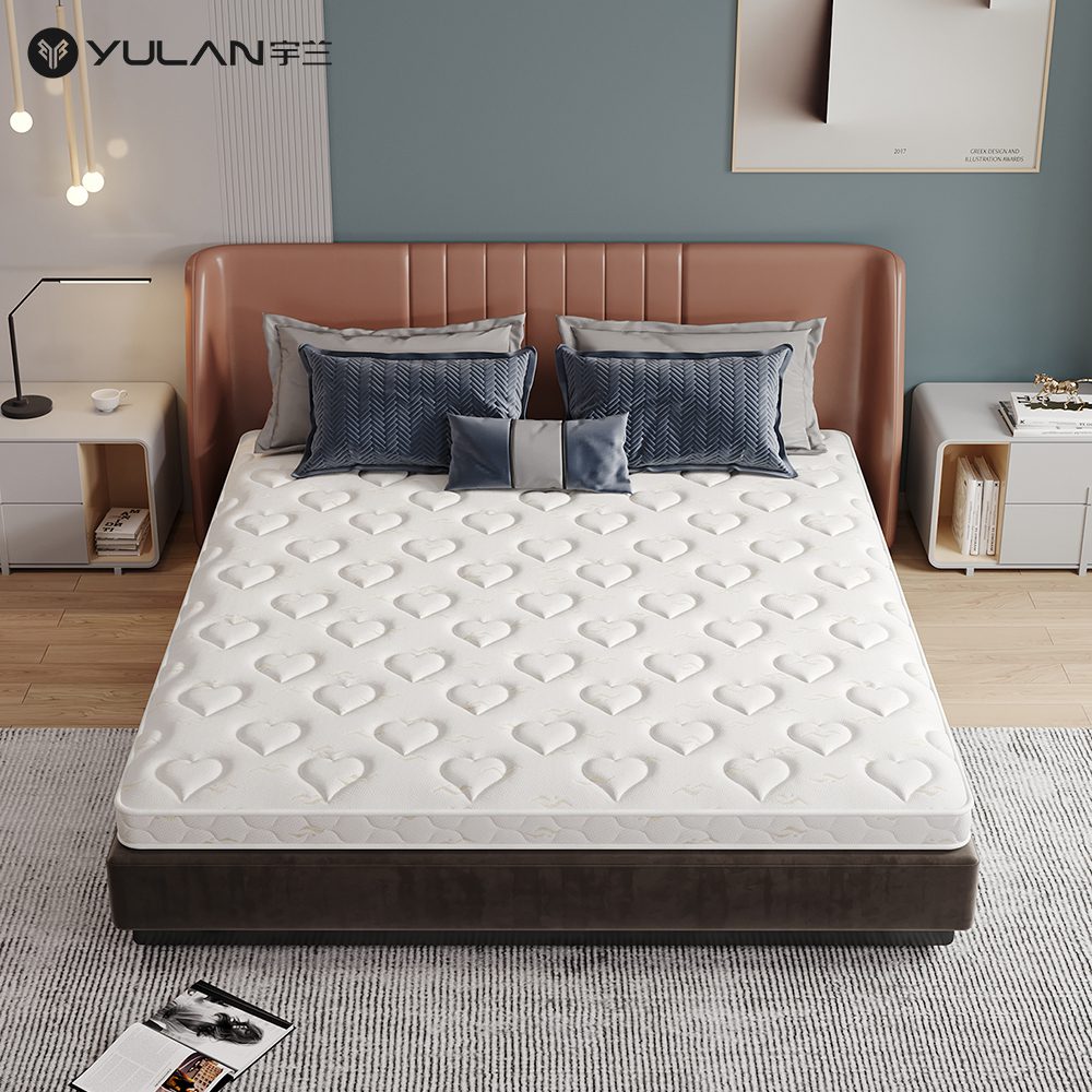 Y89-matttress-6 Y89 Coir Thin Mattress